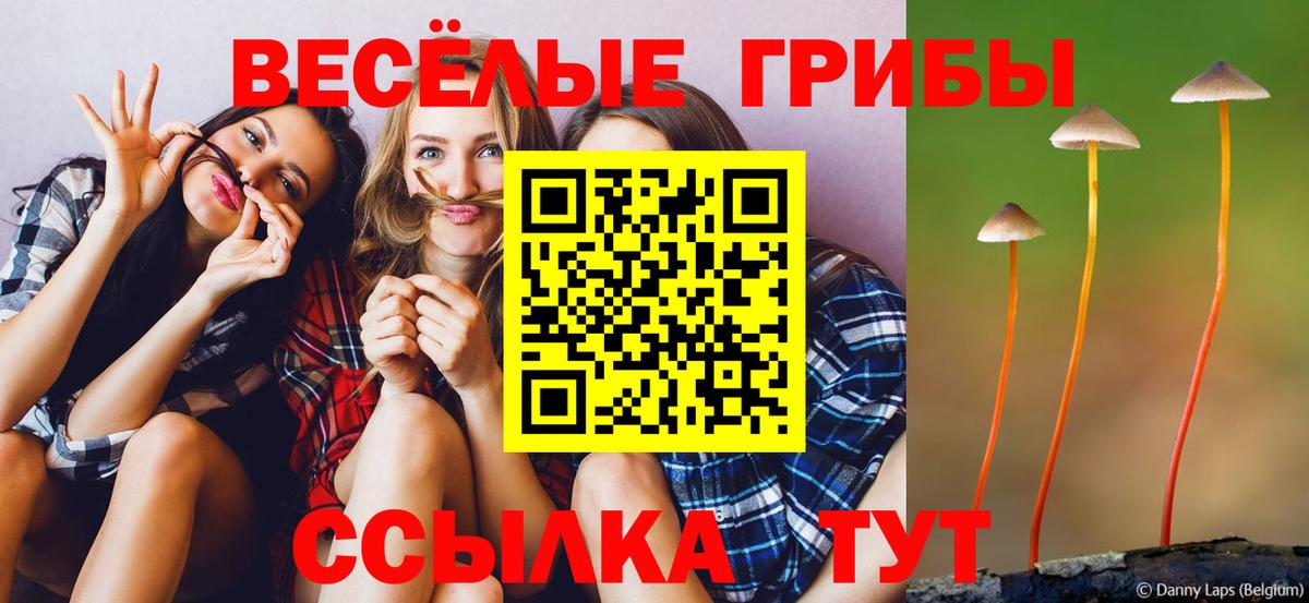Псилоцибиновые грибы Psilocybine cubensis Череповец