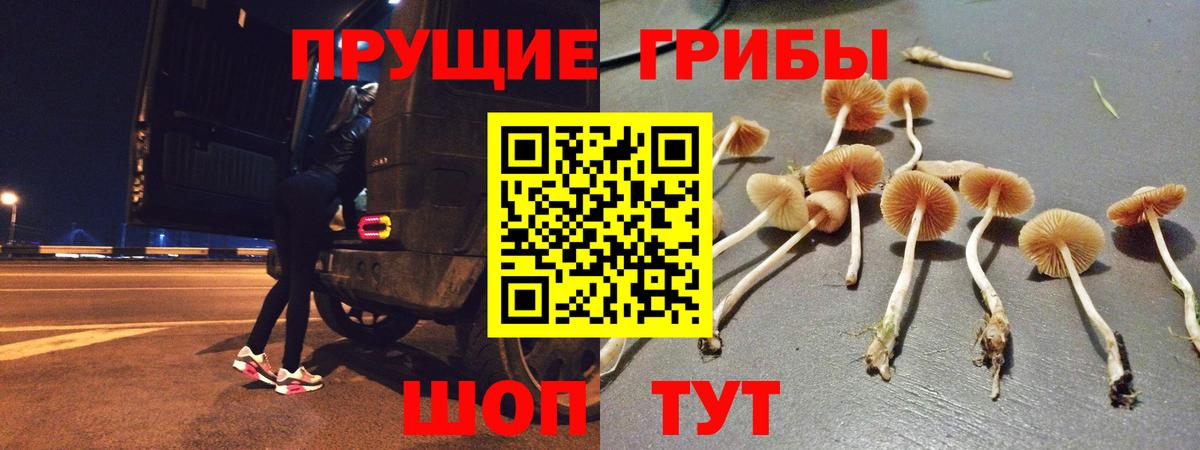 Череповец  Псилоцибиновые грибы Psilocybe  Псилоцибиновые грибы мухоморы  купить закладку  Вход с VPN 